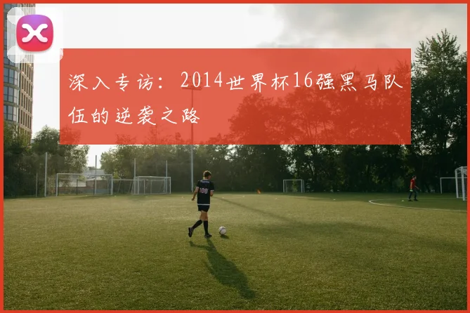 深入专访：2014世界杯16强黑马队伍的逆袭之路