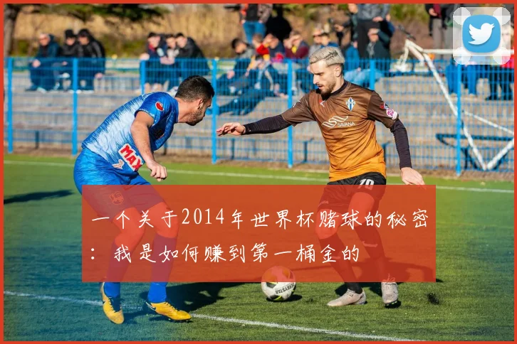 一个关于2014年世界杯赌球的秘密:我是如何赚到第一桶金的