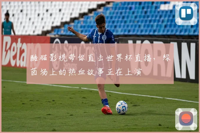 酷猫影视带你直击世界杯直播，绿茵场上的热血故事正在上演