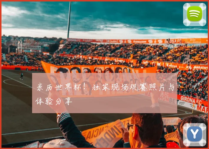 亲历世界杯！独家现场观赛照片与体验分享