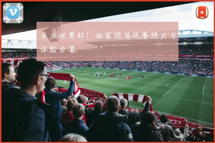 亲历世界杯！独家现场观赛照片与体验分享