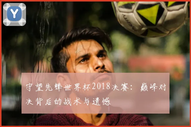守望先锋世界杯2018决赛：巅峰对决背后的战术与遗憾