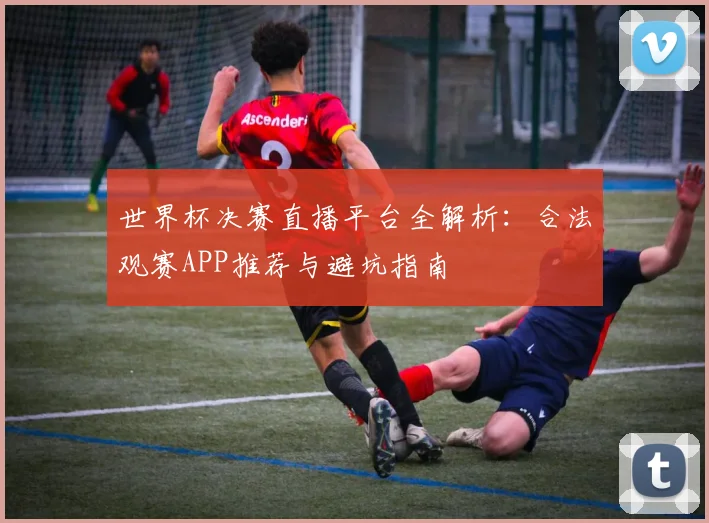 世界杯决赛直播平台全解析：合法观赛APP推荐与避坑指南